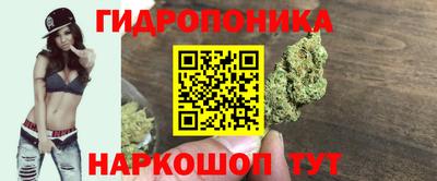 тгк Апшеронск