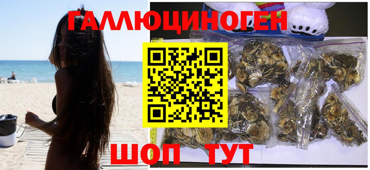 Баксан  Галлюциногенные грибы прущие грибы  Вход с VPN 